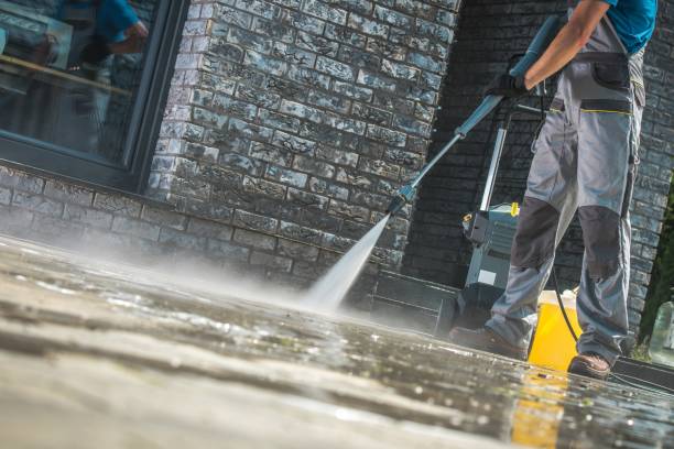Animal Enclosure Cleaning in Whiskey Creek, FL